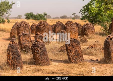 Wassu-Steinkreise, UNESCO-Weltkulturerbe in Wassu, Gambia, Westafrika, Stockfoto