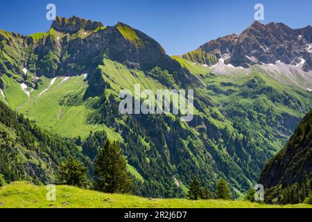 Schneck, 2268m, Himmelhorn, 2111m, mit dem Rädlergrat, Thumb Group und Großer Wilder, 2379m, Hochvogel Group und Rosszahn Group, Allgäu Alps, Allgäu, Stockfoto