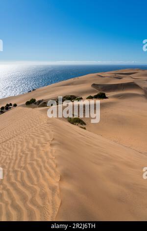 Sanddünen, Concon, Provinz Valparaiso, Region Valparaiso, Chile, Südamerika Stockfoto