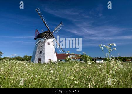 Windmühle Myreagre Mølle in Aakirkeby auf Bornholm, Dänemark Stockfoto