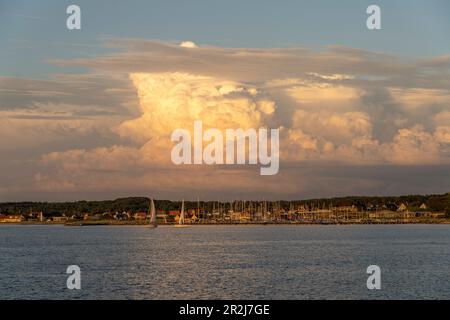 Blick über den Limfjord nach Hvalpsund, Thise, Halbinsel Salling, Dänemark, Europa Stockfoto