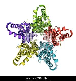Bestrophin-1-Proteinmolekül, Illustration Stockfoto