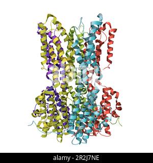 Bestrophin-1-Proteinmolekül, Illustration Stockfoto