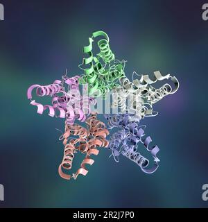 Bestrophin-1-Proteinmolekül, Illustration Stockfoto