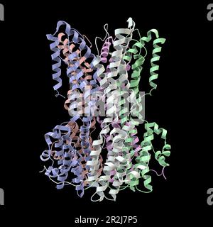Bestrophin-1-Proteinmolekül, Illustration Stockfoto