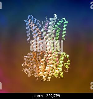 Molekularmodell des Proteins Bestrophin-1 (BEST 1), Computerdarstellung. Dieses Protein ist für die Regulierung der Calciumsignalisierung in den Zellen verantwortlich. Mutat Stockfoto