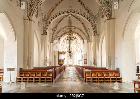 Das Innere des St. Hans Kirke in der Hauptstadt Stege, Insel Mon, Dänemark, Europa Stockfoto