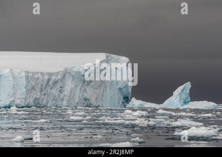 Eisberge in Curtiss Bay, Antarktis, Polarregionen Stockfoto