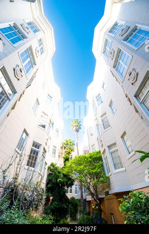 Froschblick auf den San Francisco Alamo Square. Stockfoto