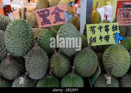 Durianfrucht zum Verkauf auf einem kleinen Markt in Chinatown, Singapur, Südostasien, Asien Stockfoto