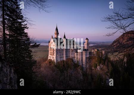 Blick auf Schloss Neuschwanstein im Winter, Allgäuer Alpen, Allgäu, Bayern, Deutschland, Europa Stockfoto