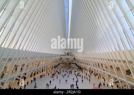 Oculus Shopping Center, Downtown Manhattan, New York, New York, USA Stockfoto