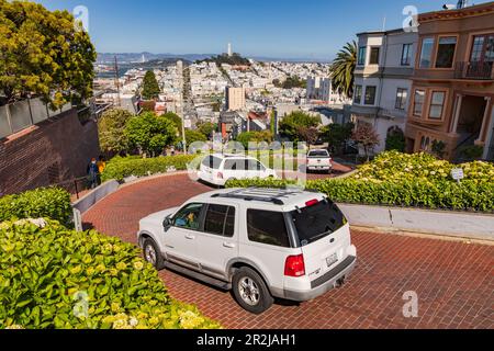 Lombard Street, die als die kurvenreichste Straße beschrieben wird, mit Blick auf den Telegraph Hill und Coit Tower, San Francisco, USA Stockfoto