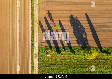 Drohnenbild eines Blumenstreifens auf einem gepflügten braunen Feld neben einer Wiese Stockfoto