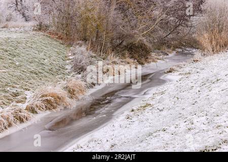 Ein eisiger Bach mit Eis und Frost auf Gras, Büschen und Bäumen im Winter, Deutschland Stockfoto