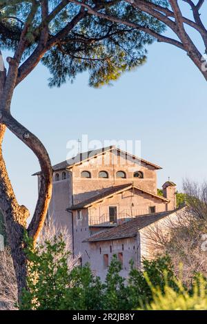 Blick vom Palantinhügel in Rom, Italien Stockfoto