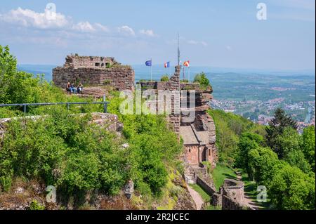 Schloss Hohbarr bei Saverne, Bas-Rhin, Elsass, Grand Est, Elsass-Champagne-Ardenne-Lothringen, Frankreich Stockfoto