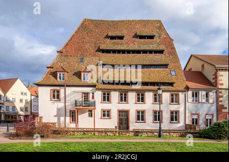 Das Salzhaus 'La Maison du Sel in Wissembourg, Nördliches Elsass, Unterrhein, Grand Est, Frankreich Stockfoto