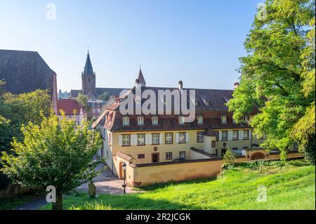 Blick von der Stadtmauer auf die Abteikirche St. Peter und Paul in Wissembourg, Nördliches Elsass, Bas-Rhin, Grand Est, Frankreich Stockfoto