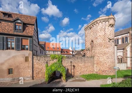 Mittelalterliche Stadtmauern von Obernai, Oberehnheim, Bas-Rhin, Route des Vins d'Alsace, Elsass Weinstraße, Grand Est, Elsass-Champagne-Ardenne-Lorraine, Franc Stockfoto