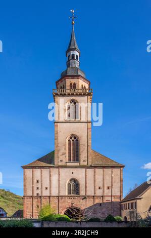 Abteikirche Saint Pierre et Paul d'Andlau, Andlau, Bas-Rhin, Vogesen, Route des Vins d'Alsace, Elsass Weinstraße, Grand Est, Elsass-Champagne-Arden Stockfoto