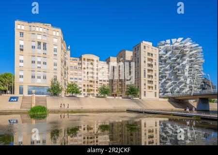 Weißer Baum in Montpellier, Wolkenkratzer von Sou Fujimoto, OXO, Nicolas Laisné und Dimitri Roussel, Montpellier, Hérault, Languedoc-Roussillon, Occitanie, Stockfoto