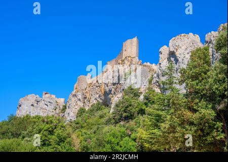 Schloss Cathar von Peyrepertuse, Duilhac-sous-Peyrepertuse, Narbonne, Aude, Languedoc-Roussillon, Occitanie, Languedoc-Roussillon-Midi-Pyrénées, Frankreich Stockfoto