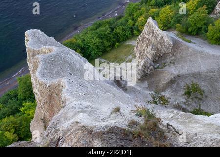 An den Kreideklippen auf der Insel Rügen. Stockfoto