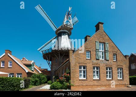 Windmühle, Ditzum, Ostfriesland, Nordsee, Niedersachsen, Deutschland Stockfoto