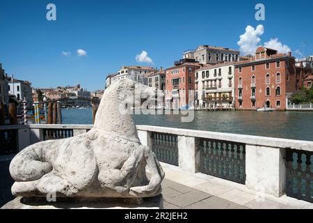 Blick vom Peggy Guggenheim Museum auf dem Canale Grande in Venedig, Venedig, Venetien, Italien, Europa Stockfoto