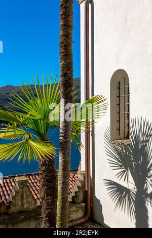 Arabic House und Patio mit Palmen und Luganer See mit Berg und Sonnenlicht im Park Scherrer in Morcote, Tessin, schweiz. Stockfoto