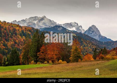 Blick auf das Zugspitze-Massiv mit Alpspitze, Zugspitze und Waxenstein, Wetterstein-Gebirge, Bayern Stockfoto