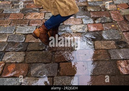 Frau, die durch Pfützen auf Kopfsteinpflaster im Regen läuft, Tallinn, Harju County, Estland, Europa Stockfoto