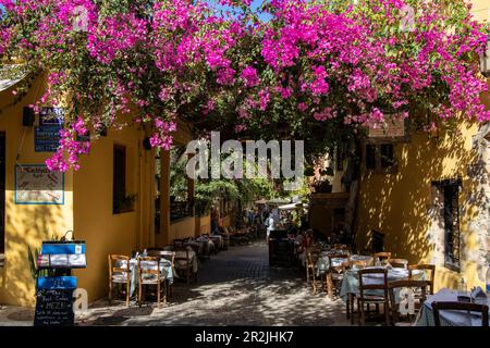 Blühende lila Bougainvillea bildet einen Baldachin über den Restauranttischen der Taverne in der Gasse der Altstadt, Chania, Kreta, Griechenland, Europa Stockfoto