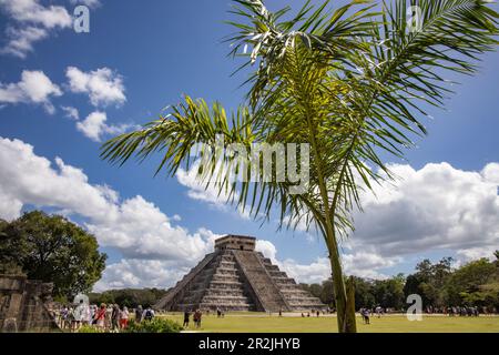 Palme und El Castillo Pyramide (Tempel von Kukulcán) an der archäologischen Stätte Chichen Itza Maya, Chichen Itza, Yucatán, Mexiko, Karibik Stockfoto