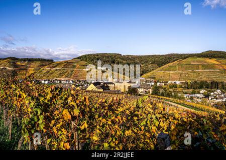 Ahrweiler inmitten der Weinberge, Ahr-Tal, Rheinland-Pfalz, Deutschland Stockfoto