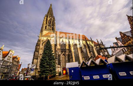 St. Lamberti-Kirche und historische Stadthäuser im Stadtzentrum von Munster in Westfalen, Nordrhein-Westfalen, Deutschland Stockfoto