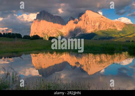 Sassolungo und Sassopiatto spiegelten sich in einem kleinen See bei Sonnenuntergang auf Alpe di Siusi, Südtirol, Italien, wider. Stockfoto