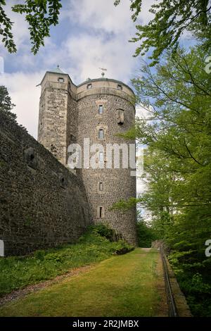 Schloss in Stolpen, Kleinstadt in Sachsen, Sachsen, Schweiz-Ostergebirge, Sachsen, Deutschland, Europa Stockfoto