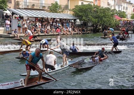 Flatboat-Rennen auf der Sorgue, L'Isle-sur-la-Sorgue, Vaucluse, Provence-Alpes-Côte d'Azur, Frankreich Stockfoto