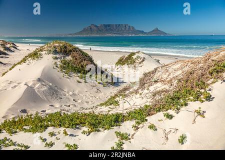 Bloubergstrand mit Blick auf Kapstadt und Tafelberg, Kapstadt, Westkap, Südafrika Stockfoto