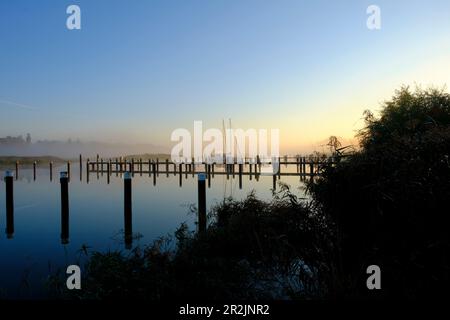 Sonnenaufgang im Nebel über dem Hafen von Prerow am Prerowstrom, Halbinsel Fischland-Darss-Zingst, Mecklenburg-Vorpommern, Deutschland Stockfoto