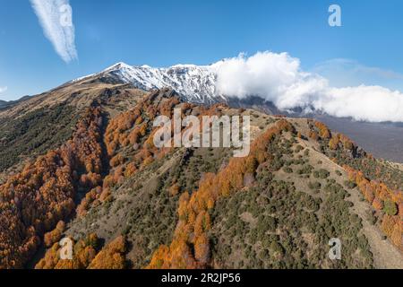 Ätna im Herbst, Catania, Sizilien, Italien, Europa Stockfoto