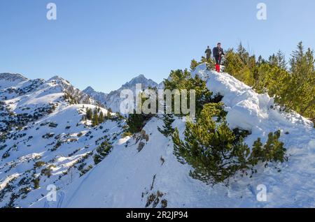 Schneeschuhwanderungen auf dem Lumberger Grat, Tannheimer Berge, Allgäu, Tirol, Österreich Stockfoto