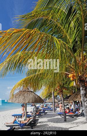 Palmen und Menschen auf dem Strand von Beachcomber Hotel Paradis &amp; Amp; Golf Club, Mauritius, Afrika Stockfoto