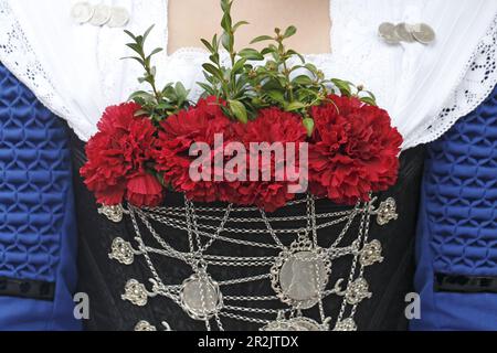 Trachtenumzug zum Oktoberfest, München, Oberbayern, Bayern, Deutschland Stockfoto
