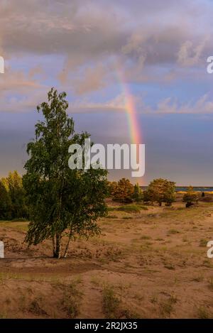 Beliebter Strand in Yyteri, Pori, Finnland Stockfoto