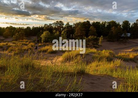 Beliebter Strand in Yyteri, Pori, Finnland Stockfoto