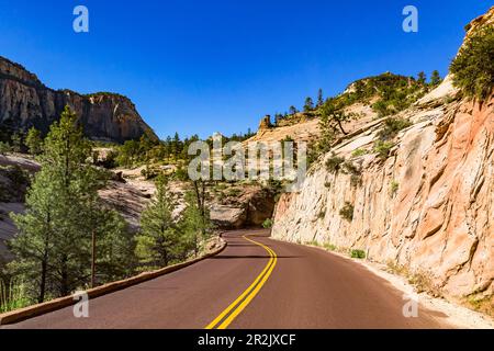 Die Fahrt zum Zion National Park zeigt viele Naturwunder und ist sehr lohnenswert Stockfoto