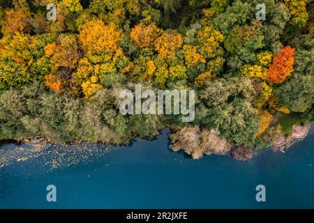 Der Mischwald am Ufer eines Sees zeigt seine bunte Seite als Luftbild im Herbst, Südhessen, Deutschland Stockfoto